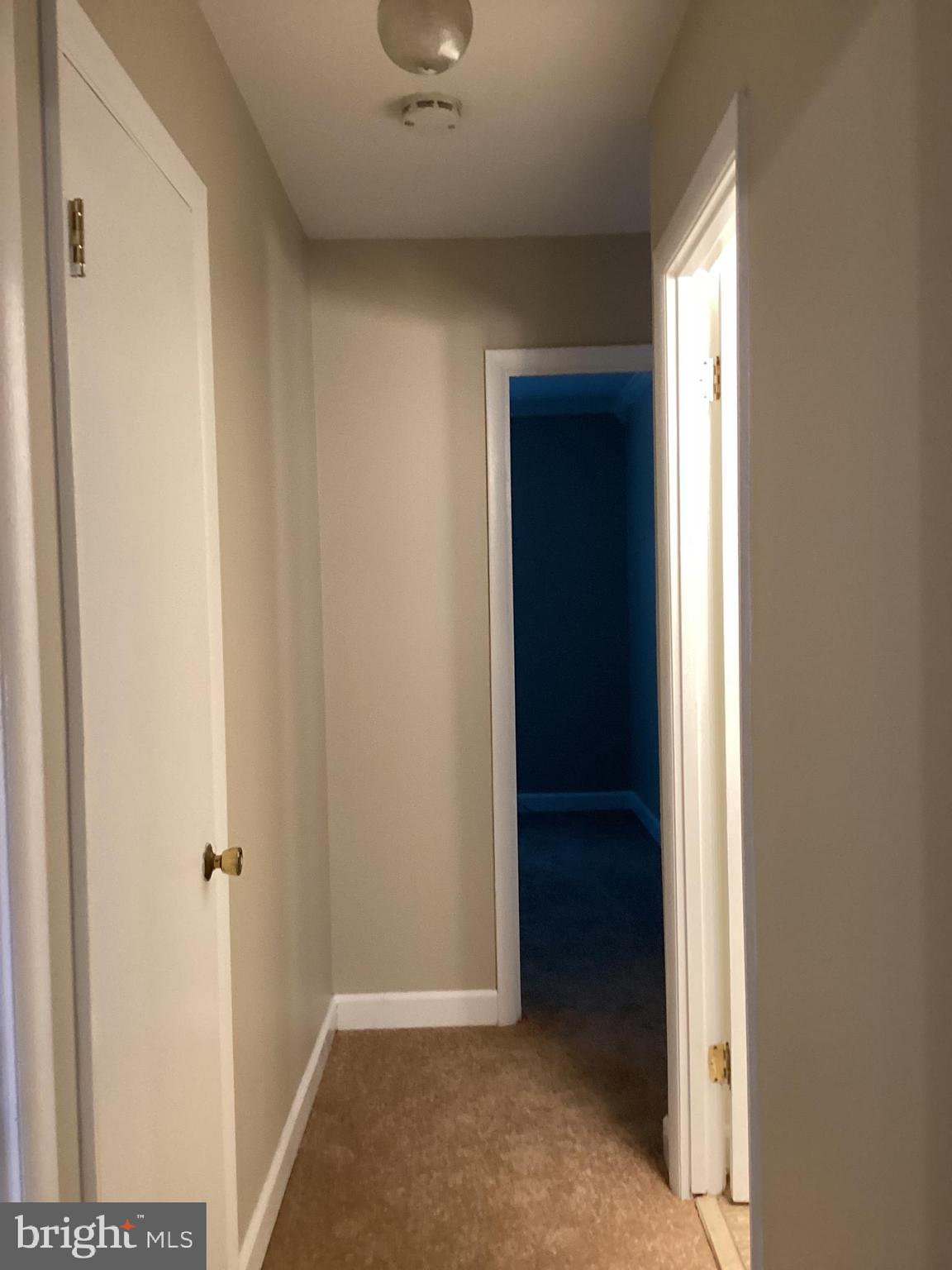 PROPHECY - Residential