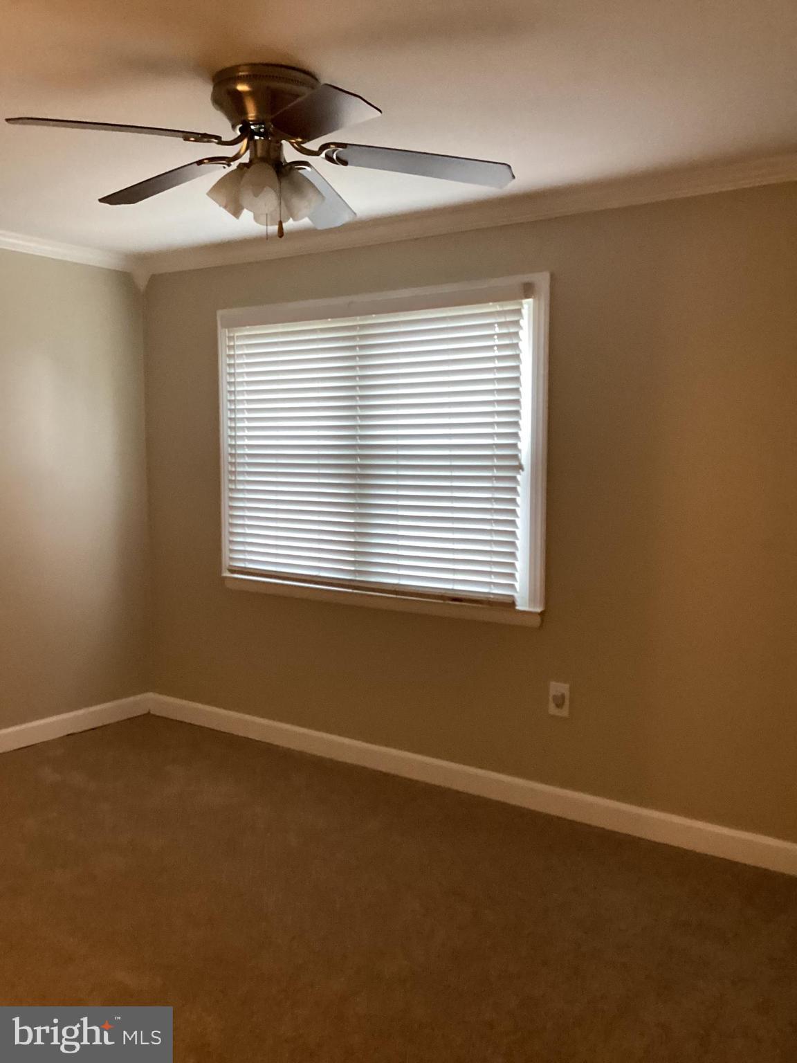 PROPHECY - Residential