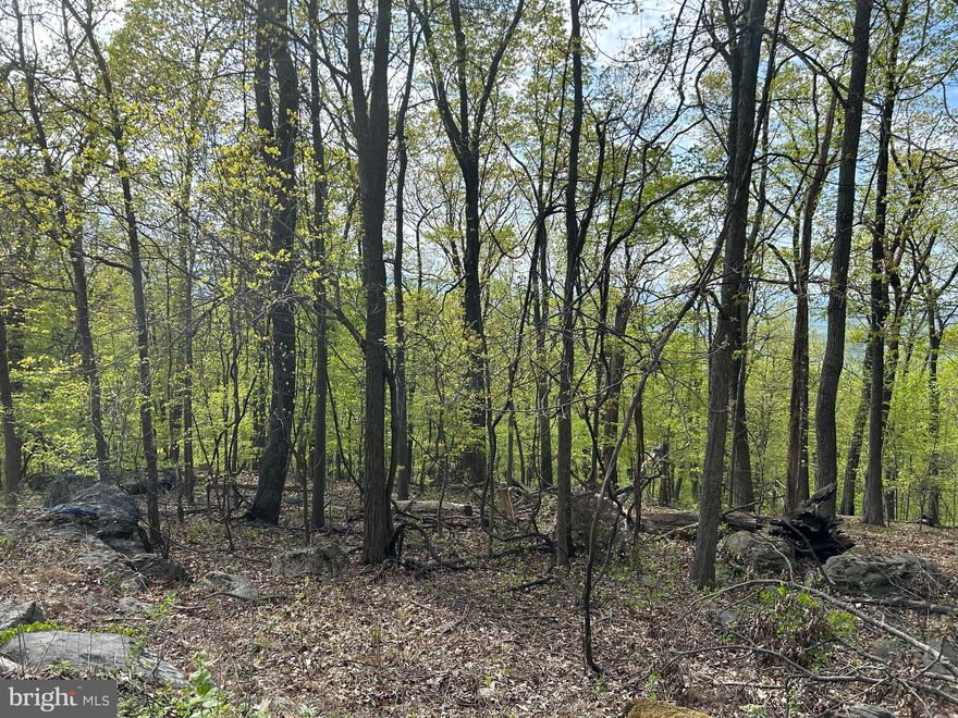 THIS THREE LOT PROPERTY IS PERFECT FOR YOUR NEW HOME THE OTHER 2 PARCELS  1C-1-4-29 & 1C-1-4-32 ARE THE LOTS BEING SOLD TOGETHER SO ALL 3 LOTS FOR ONE VERY REASONABLE PRICE.
TOTALING  .459 ACRE.   STREET  FRONTAGE, LOOK FOR SIGN ON PROPERTY.  LOT IS VERY LEVEL, .CHECK IT OUT AT YOUR CONVENIENCE.