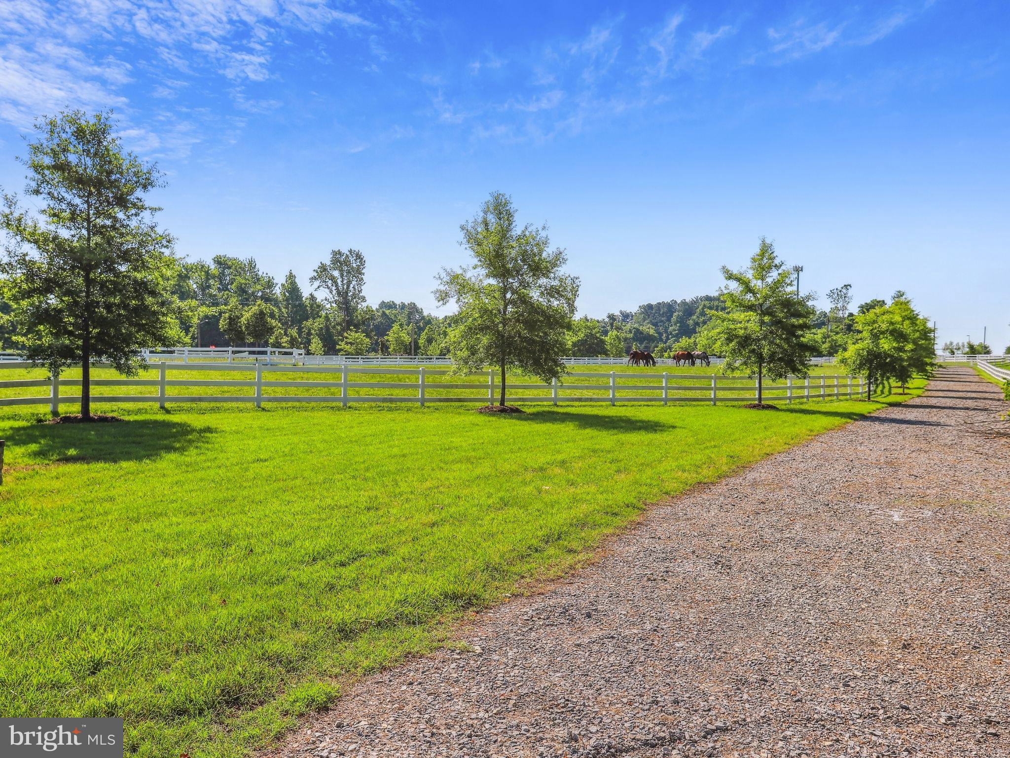 MARLBORO RIDGE - Residential