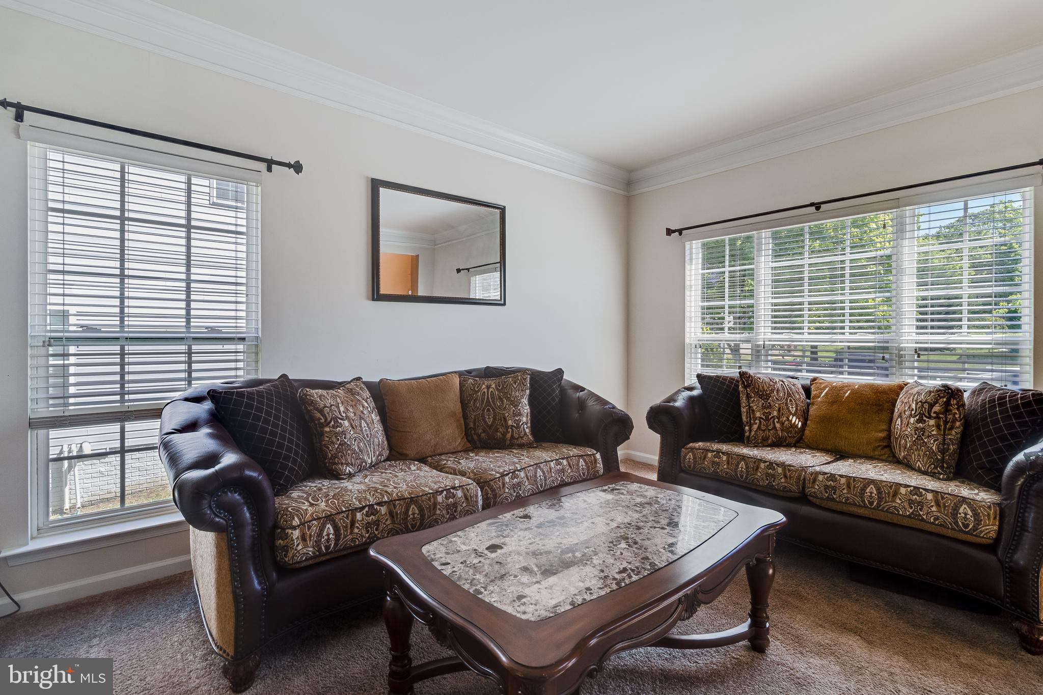 12221 HILLANTRAE DRIVE