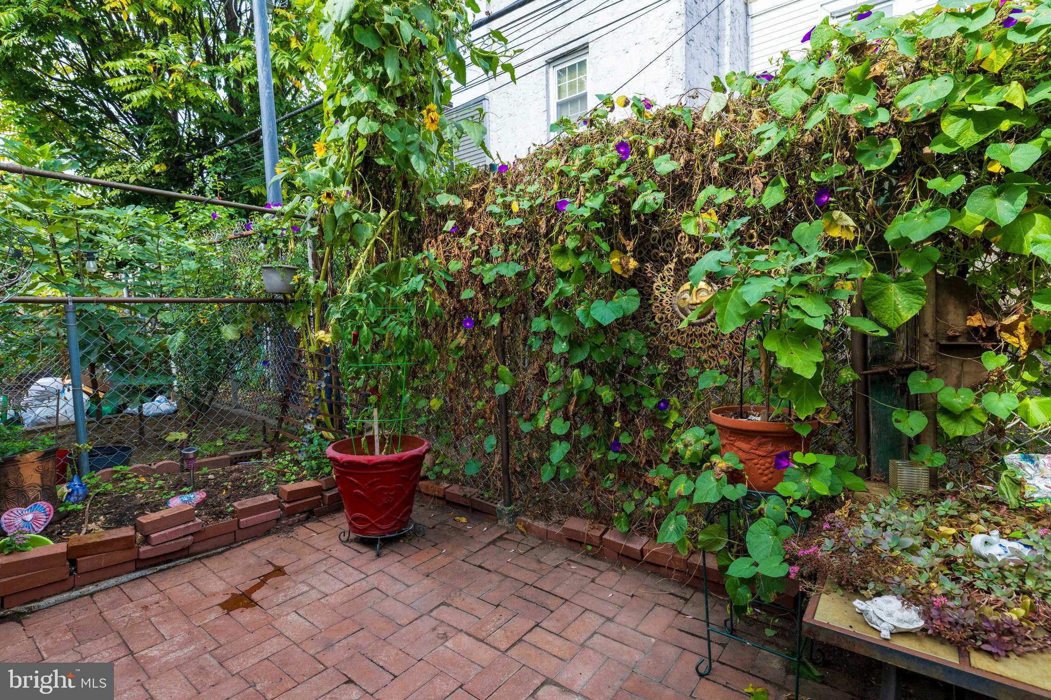 PORT RICHMOND - Residential