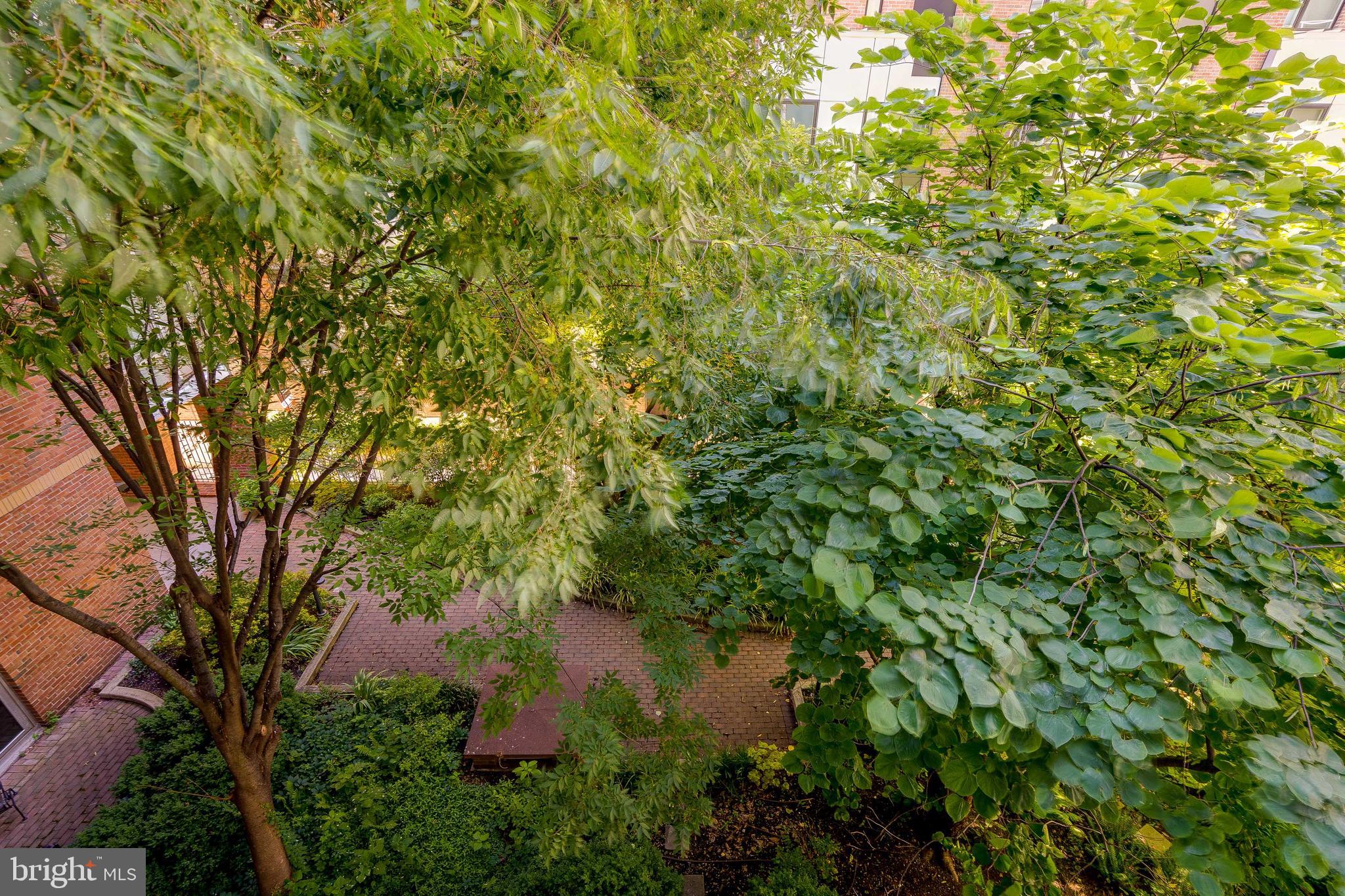 OLD CITY - Residential Lease