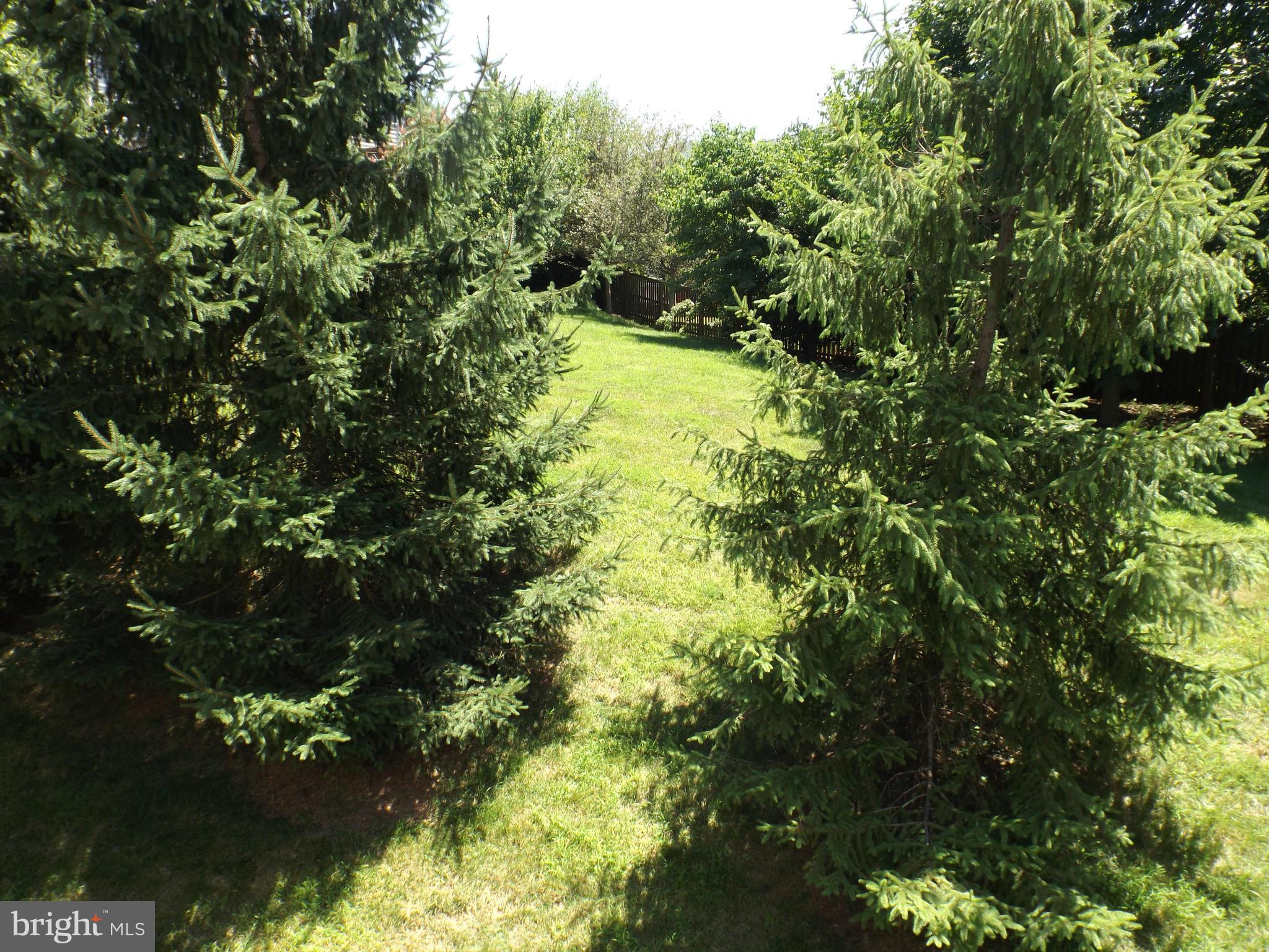 GREAT FALLS CHASE - Residential Lease