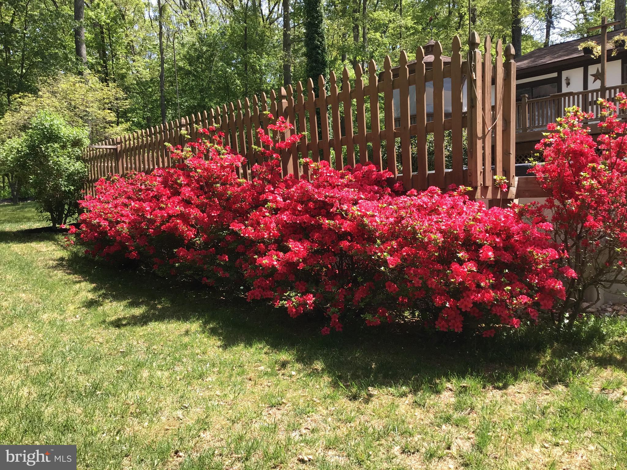 DORSEY HILL - Residential