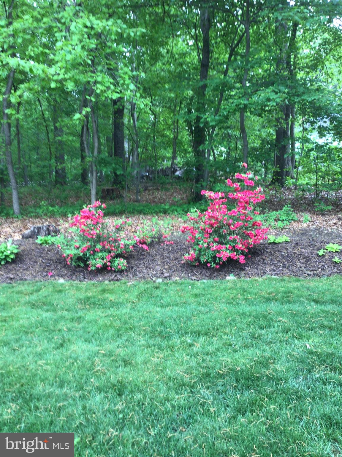 DORSEY HILL - Residential