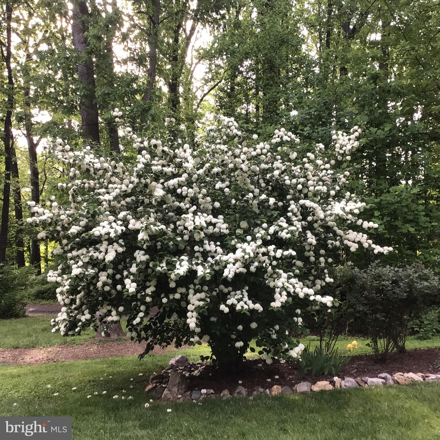 DORSEY HILL - Residential