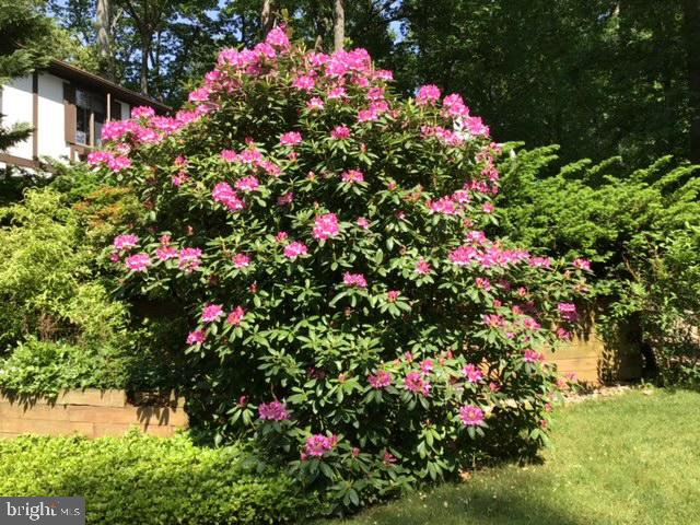 DORSEY HILL - Residential