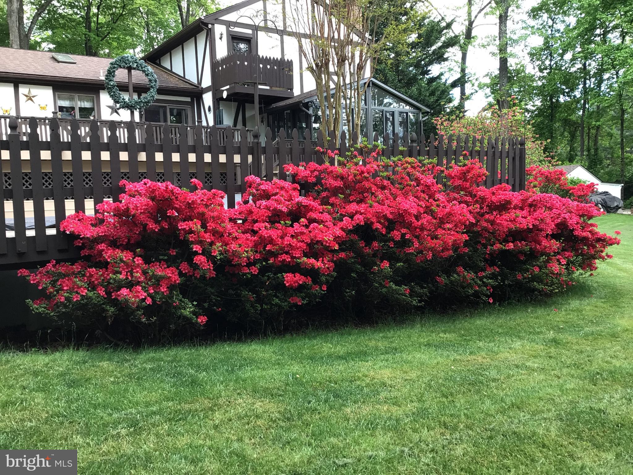 DORSEY HILL - Residential