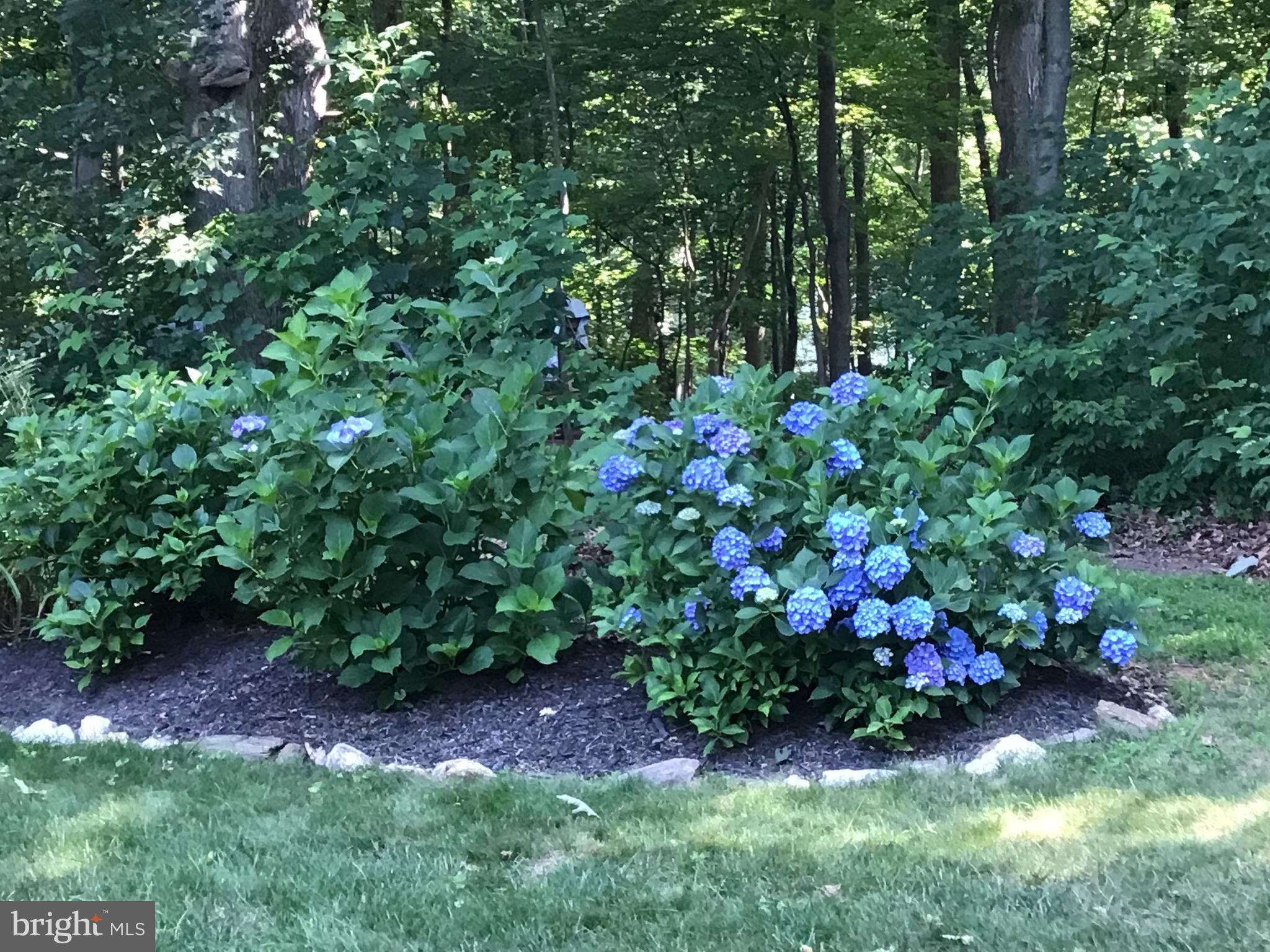 DORSEY HILL - Residential