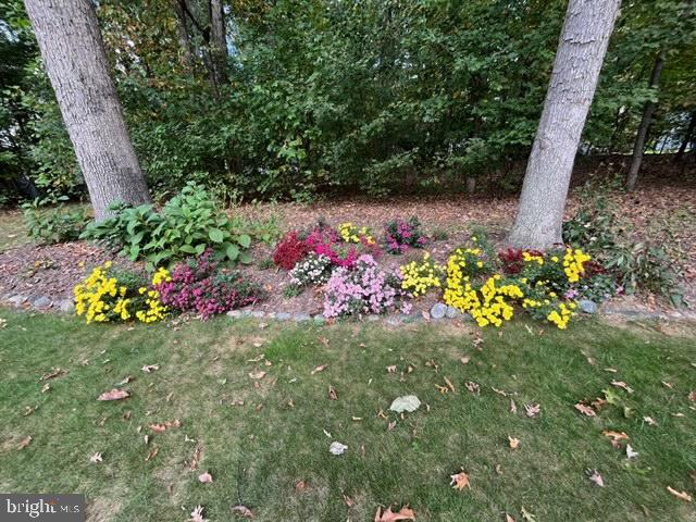 DORSEY HILL - Residential