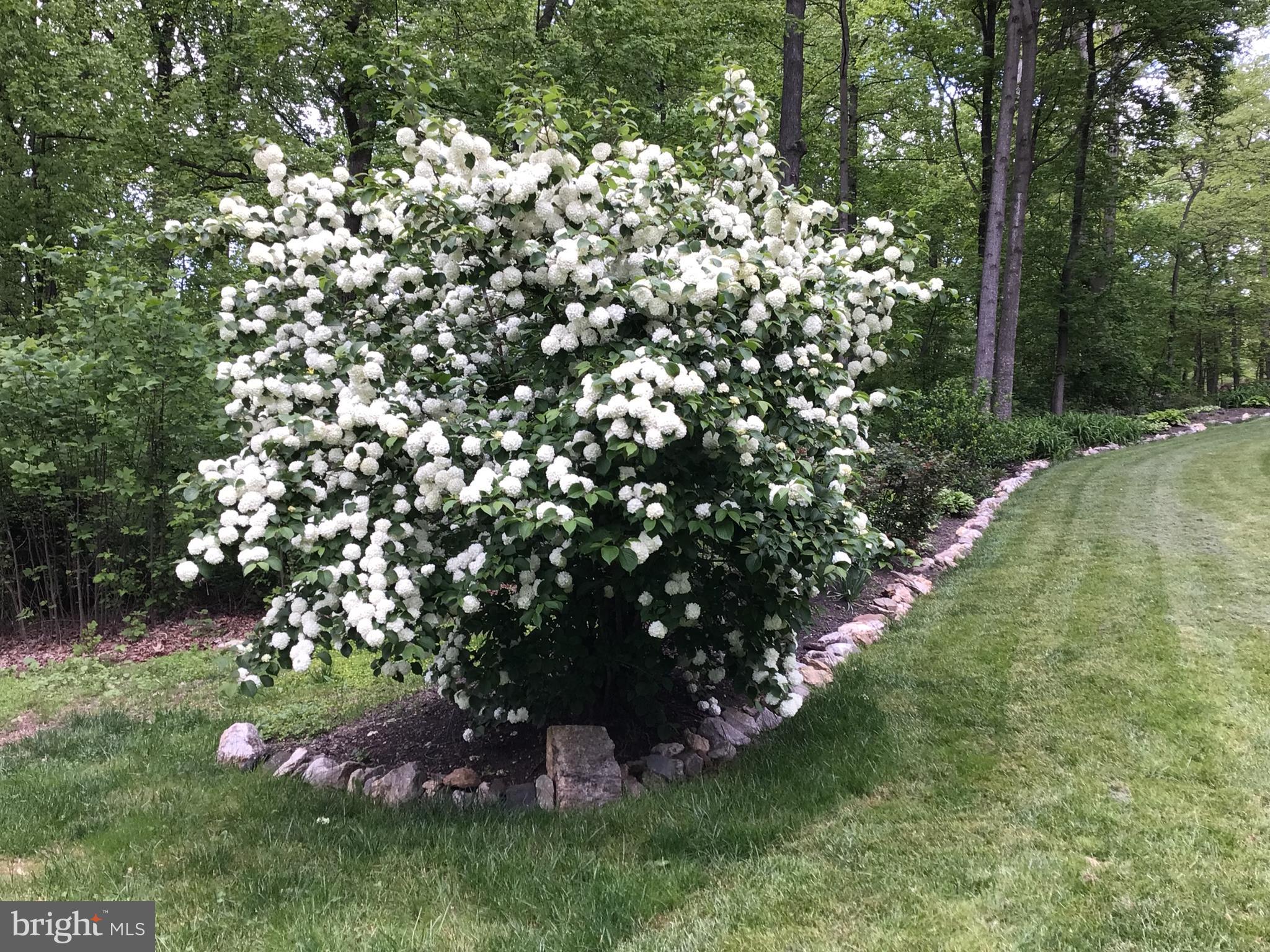 DORSEY HILL - Residential