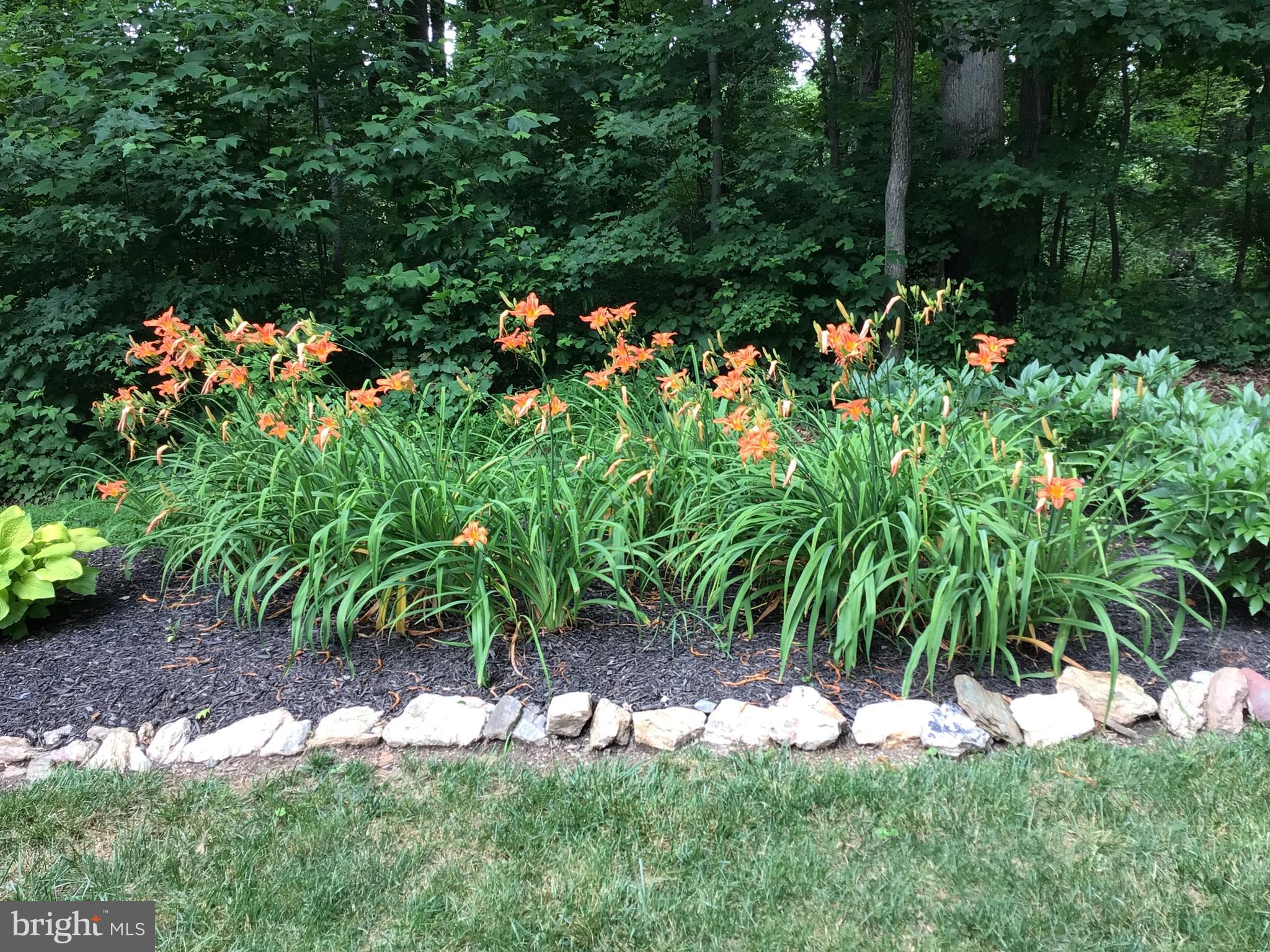 DORSEY HILL - Residential