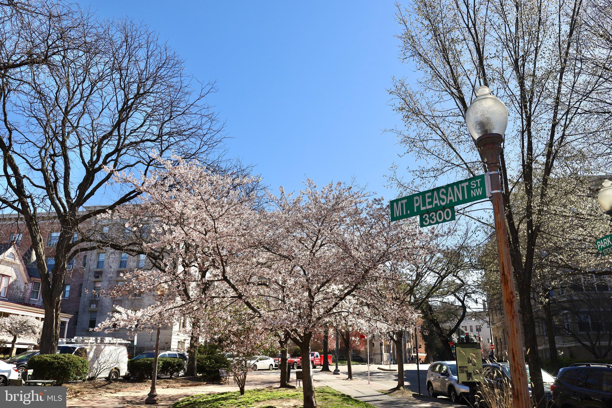 MOUNT PLEASANT - Residential