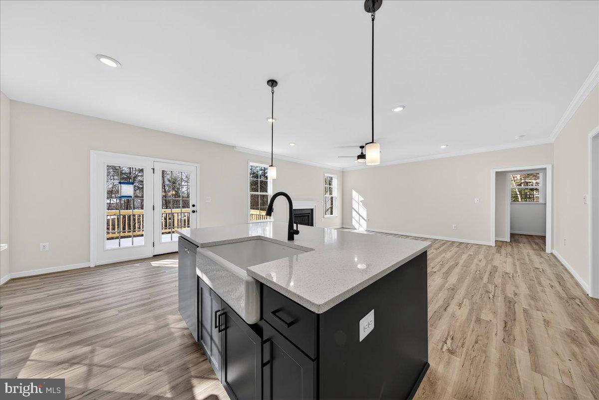 WILDWOOD ON LAKE ANNA - Residential