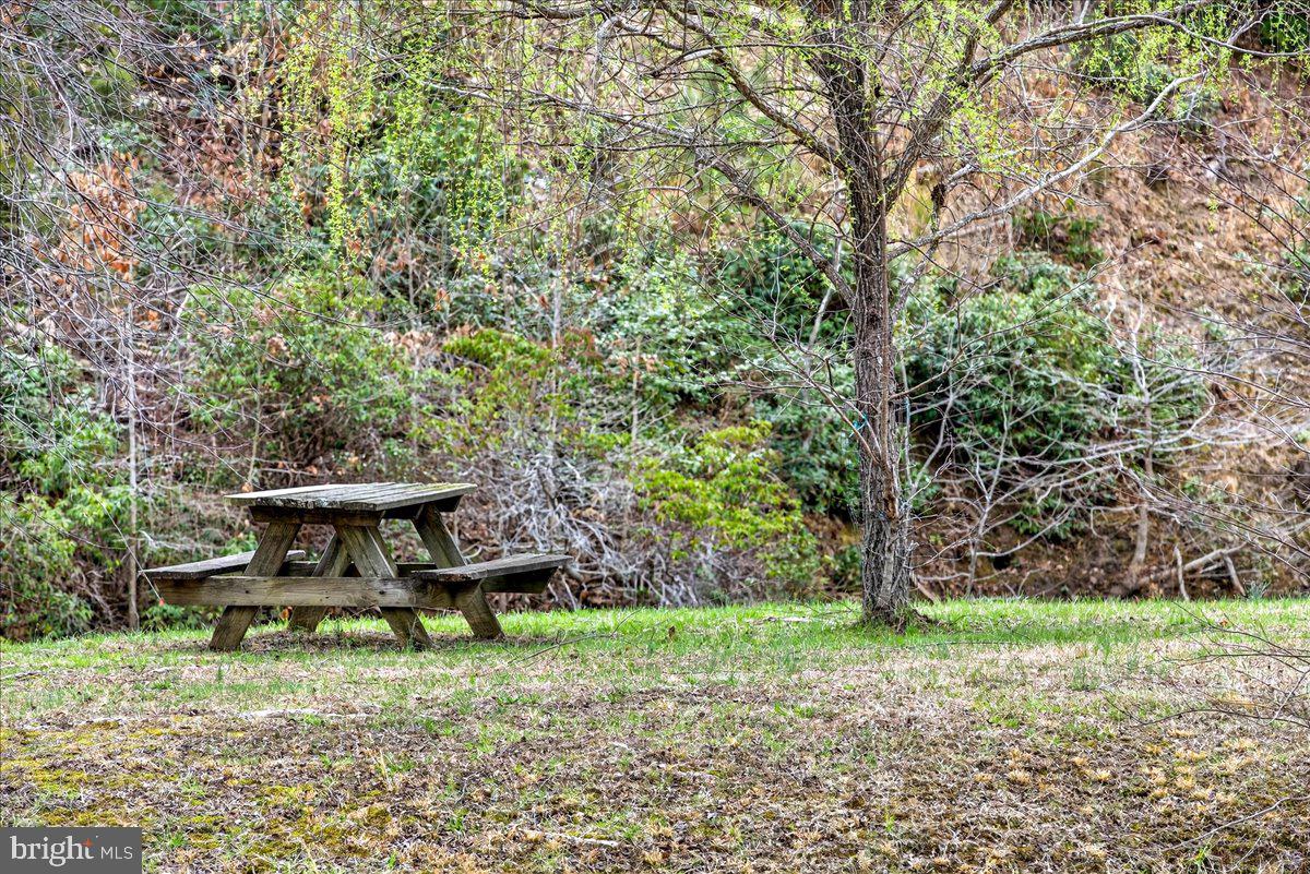 WILDWOOD ON LAKE ANNA - Residential