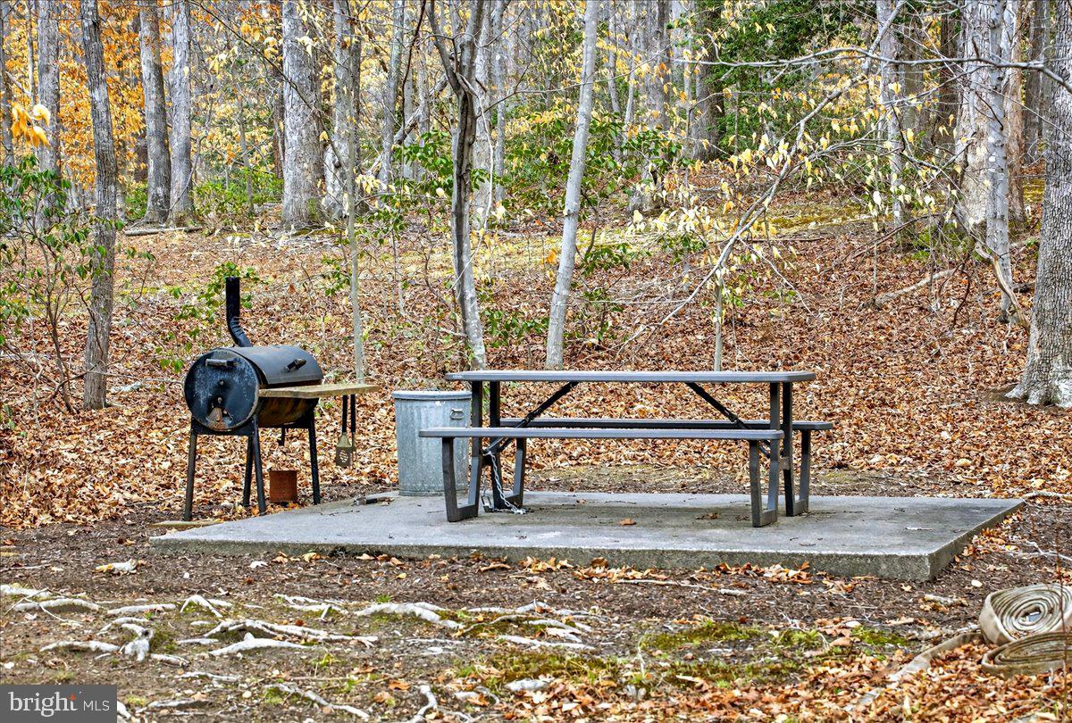 WILDWOOD ON LAKE ANNA - Residential
