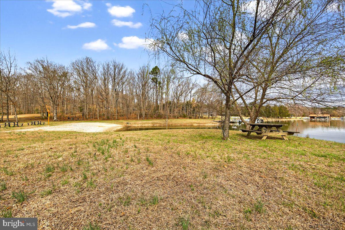 WILDWOOD ON LAKE ANNA - Residential
