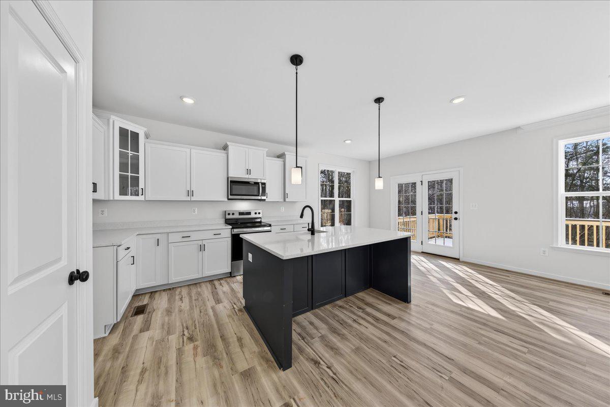 WILDWOOD ON LAKE ANNA - Residential