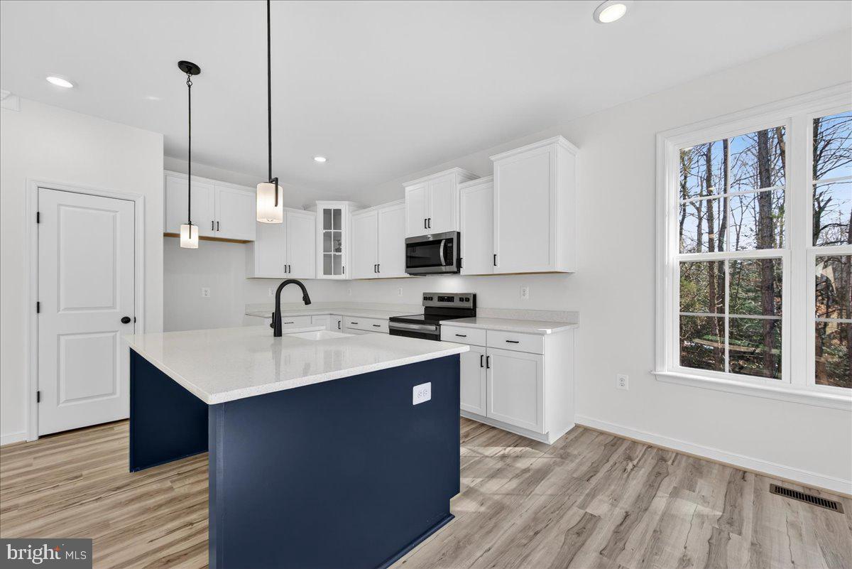 WILDWOOD ON LAKE ANNA - Residential