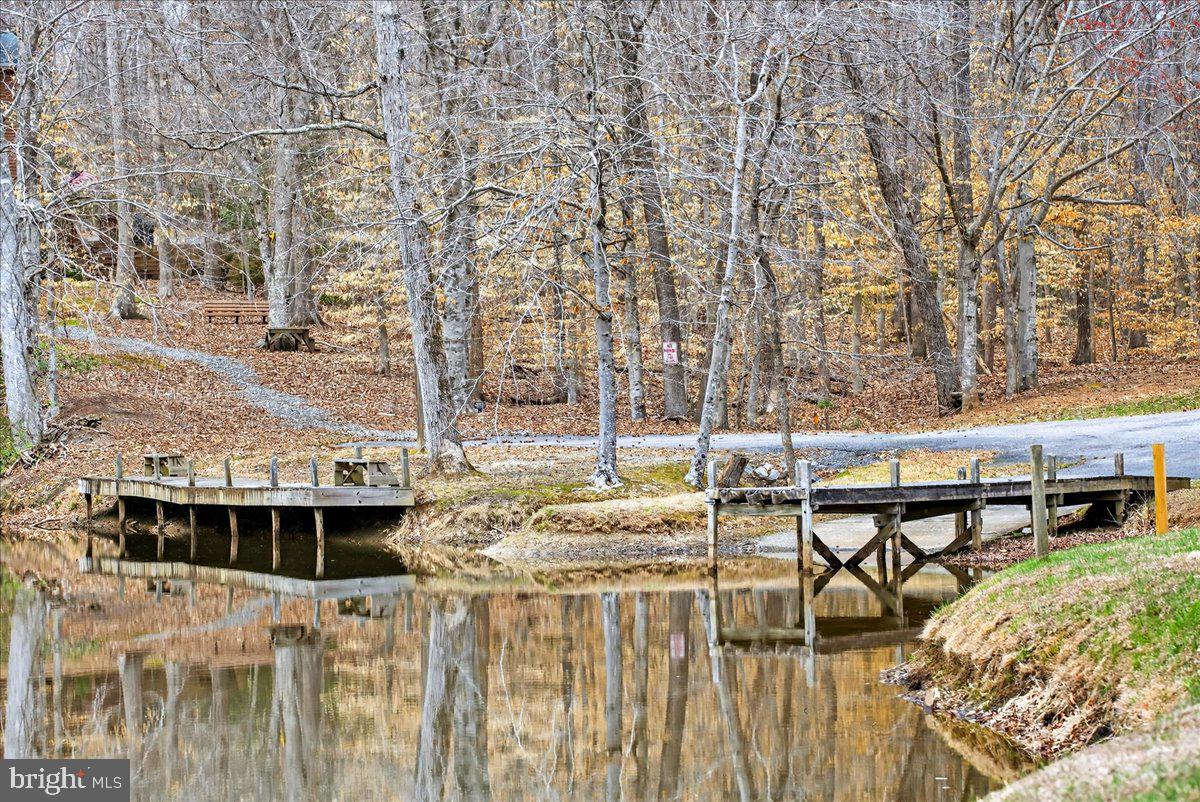 WILDWOOD ON LAKE ANNA - Residential