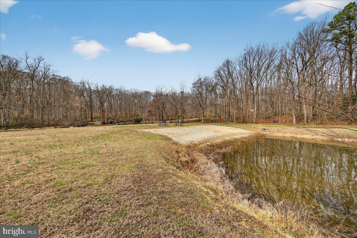WILDWOOD ON LAKE ANNA - Residential