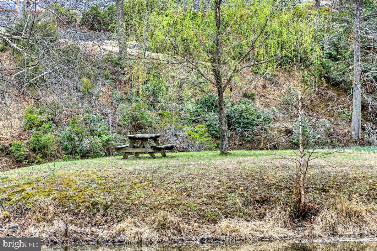 WILDWOOD ON LAKE ANNA - Residential