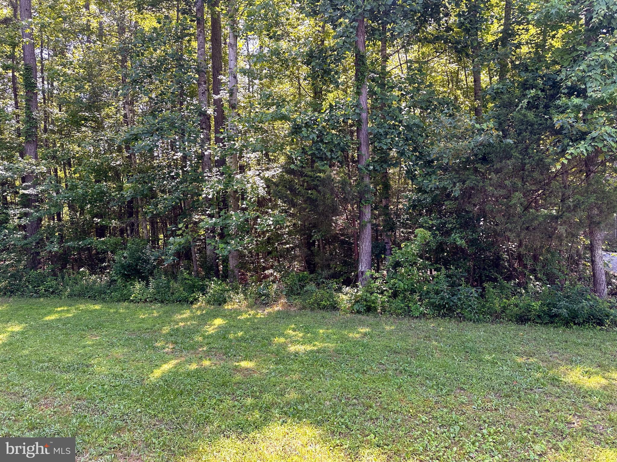 LAKE CAROLINE - Land