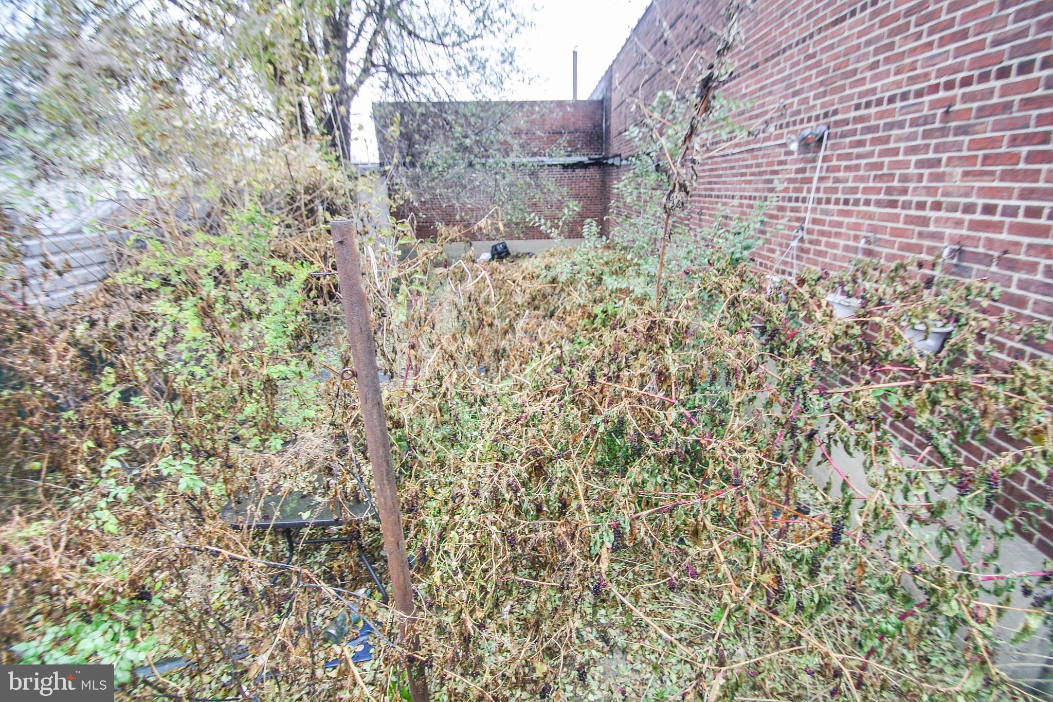 KENSINGTON - Residential