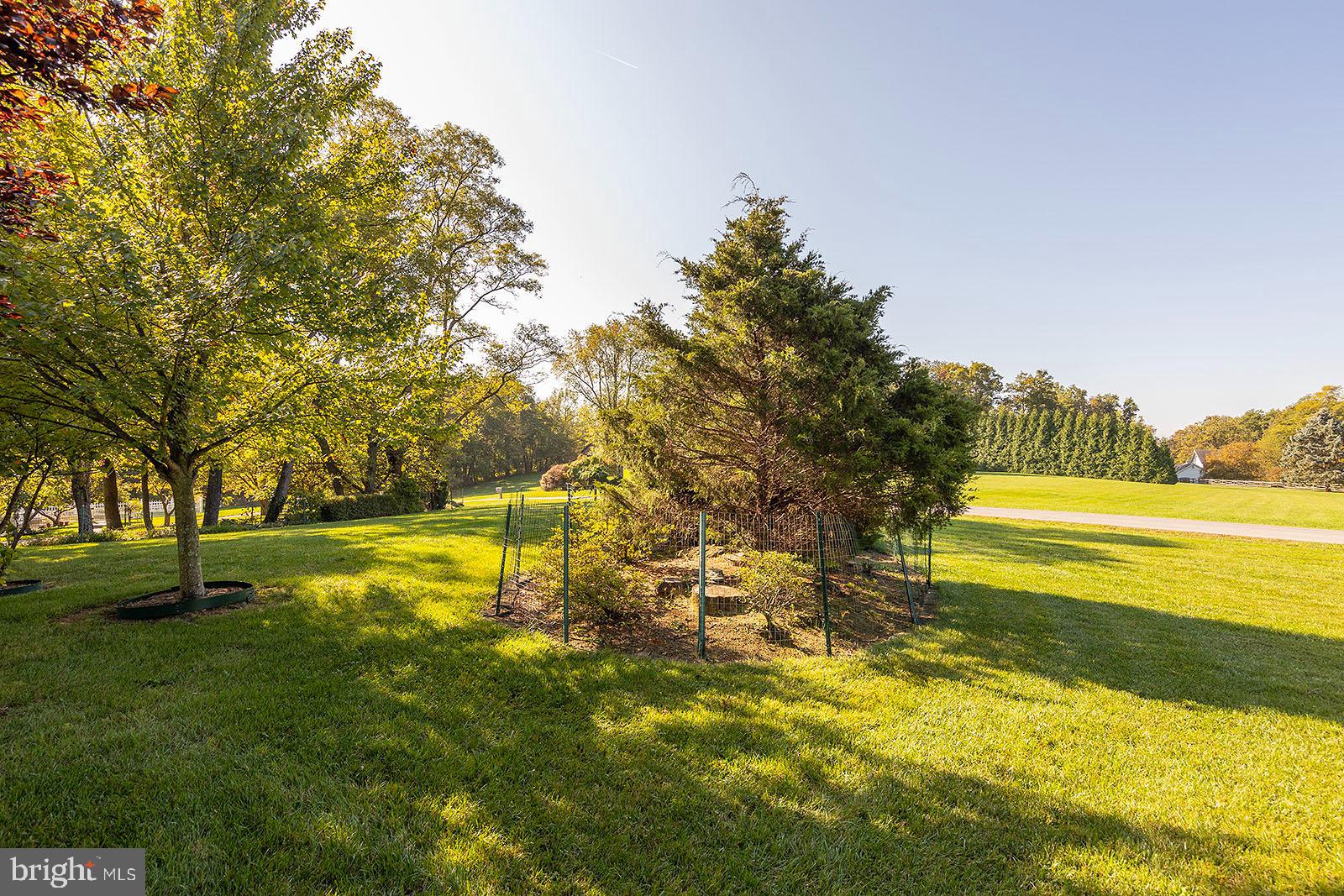 MILLPOINT - Residential