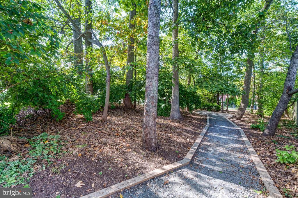 MADISON CONDOMINIUM - Residential