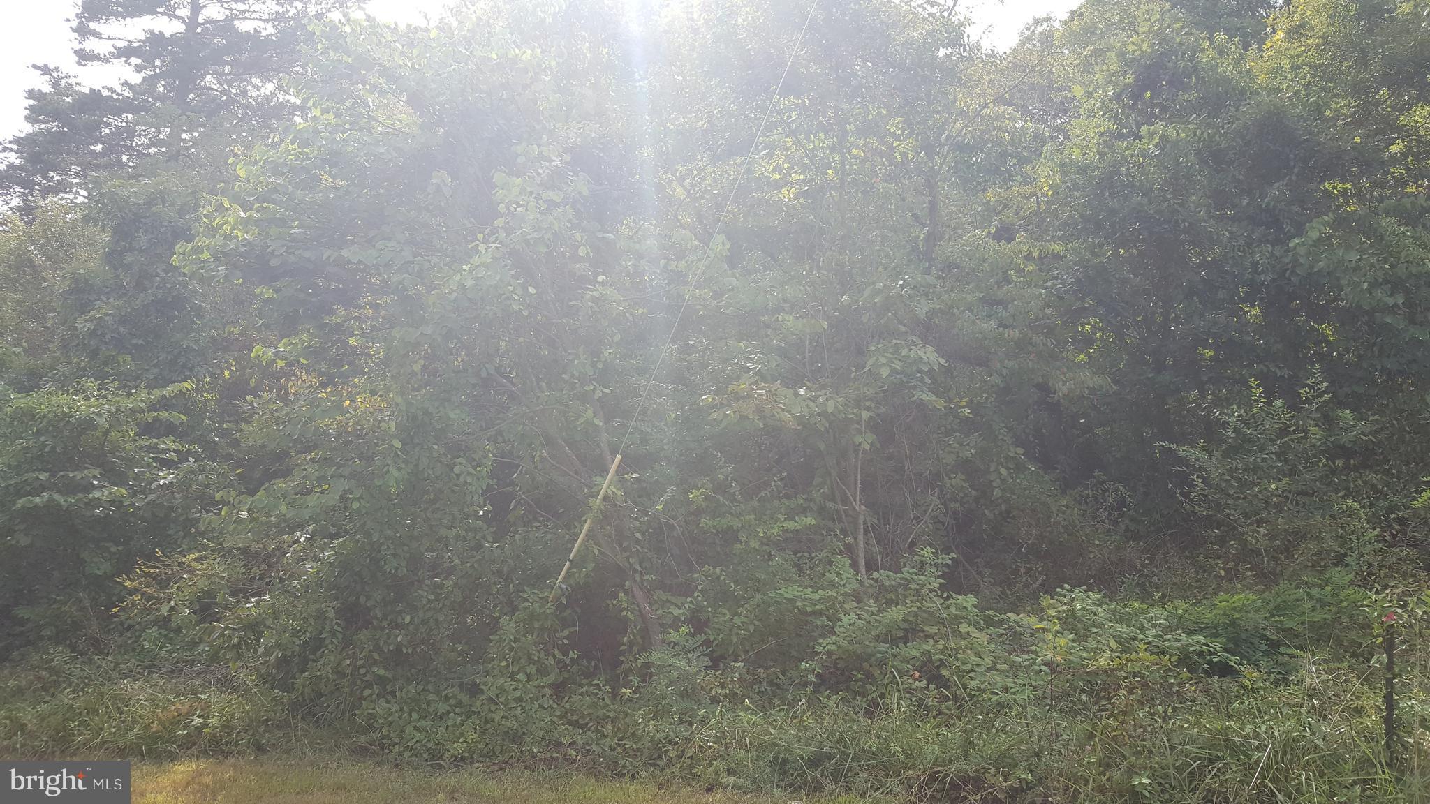 GREENWOOD ACRES - Land