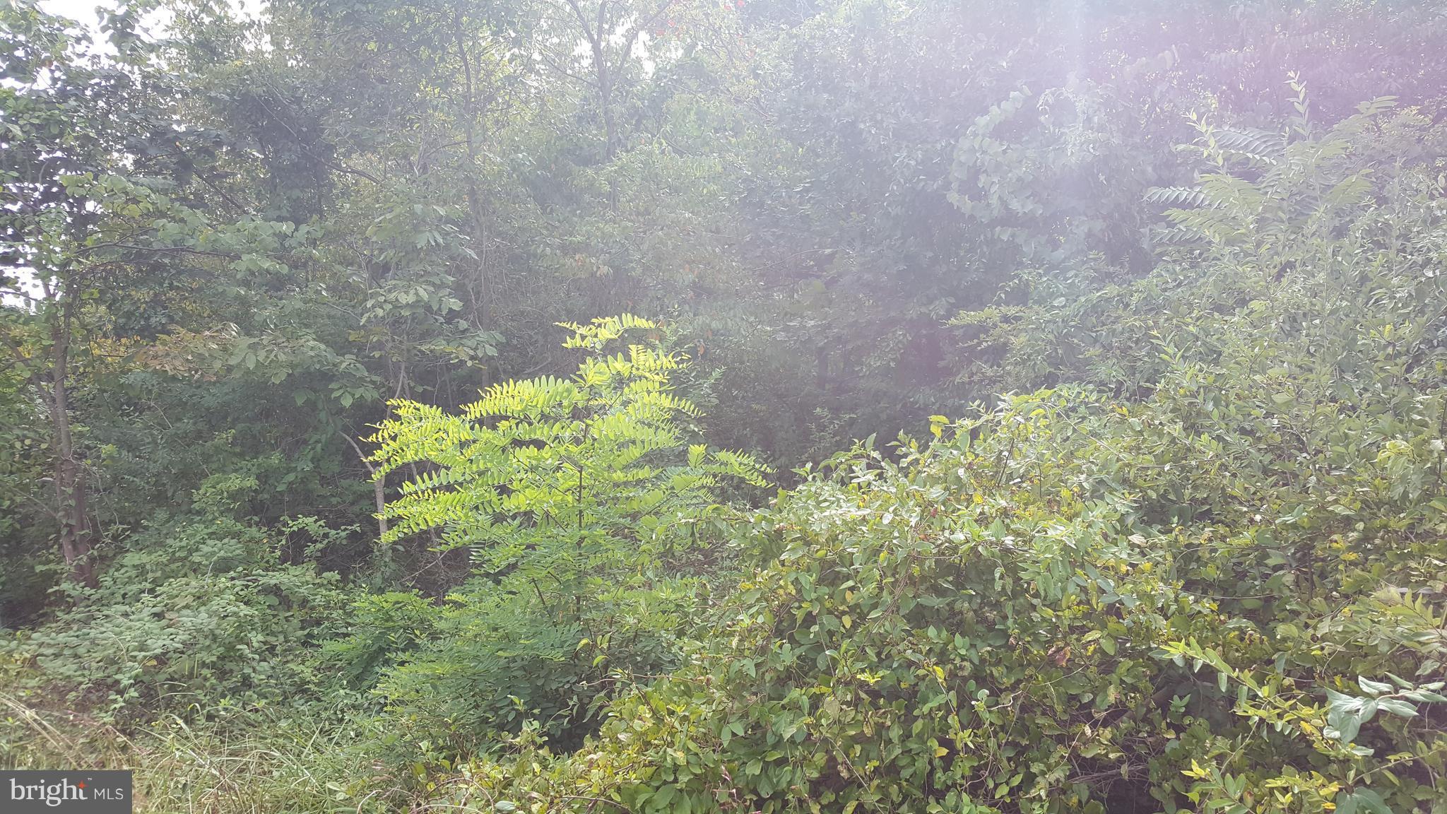 GREENWOOD ACRES - Land