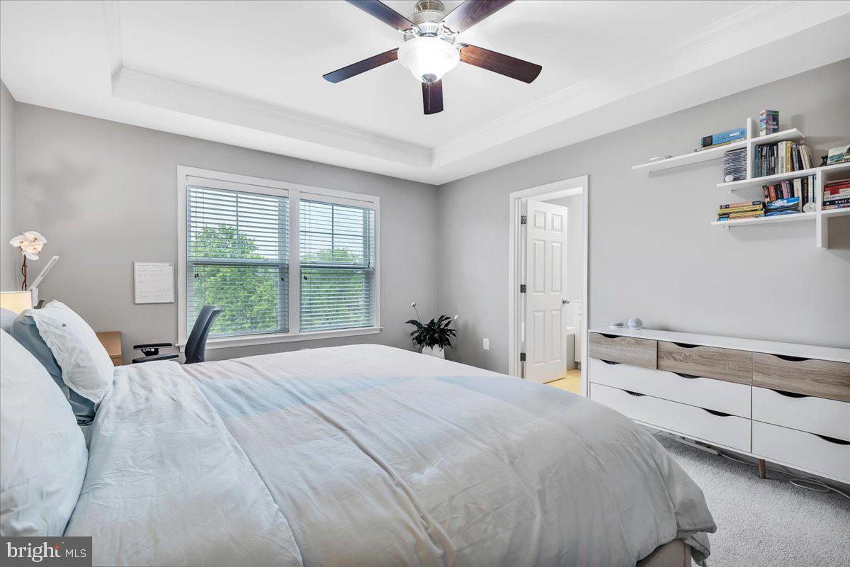 BELMONT ESTATES - Residential