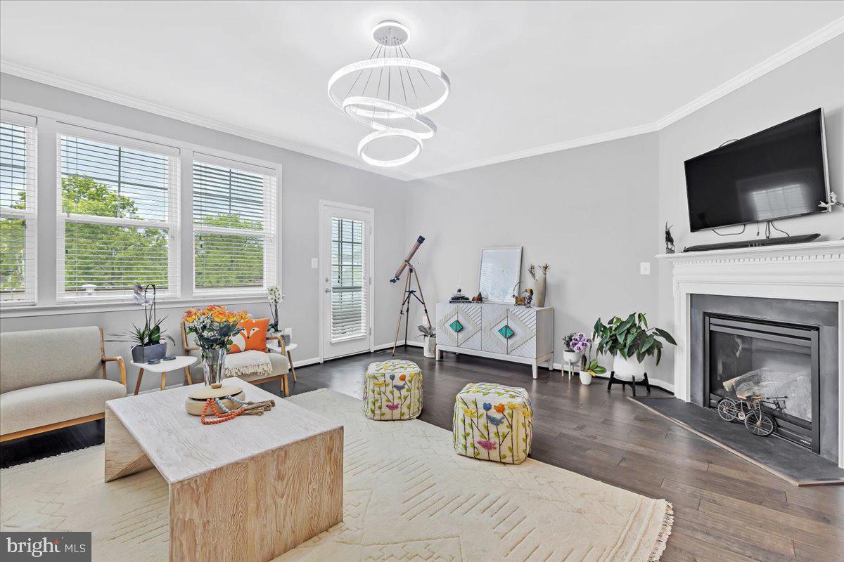 BELMONT ESTATES - Residential