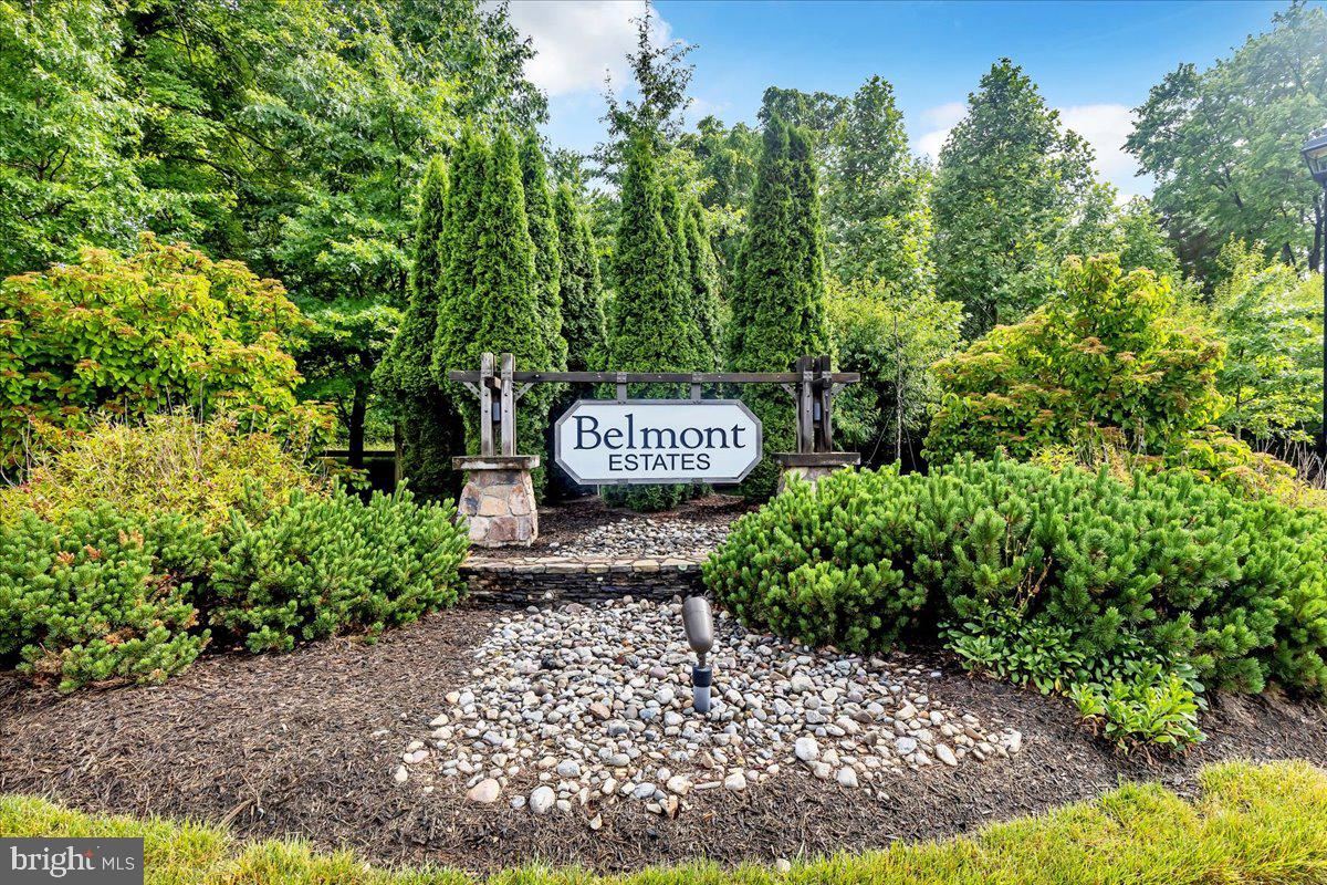 BELMONT ESTATES - Residential