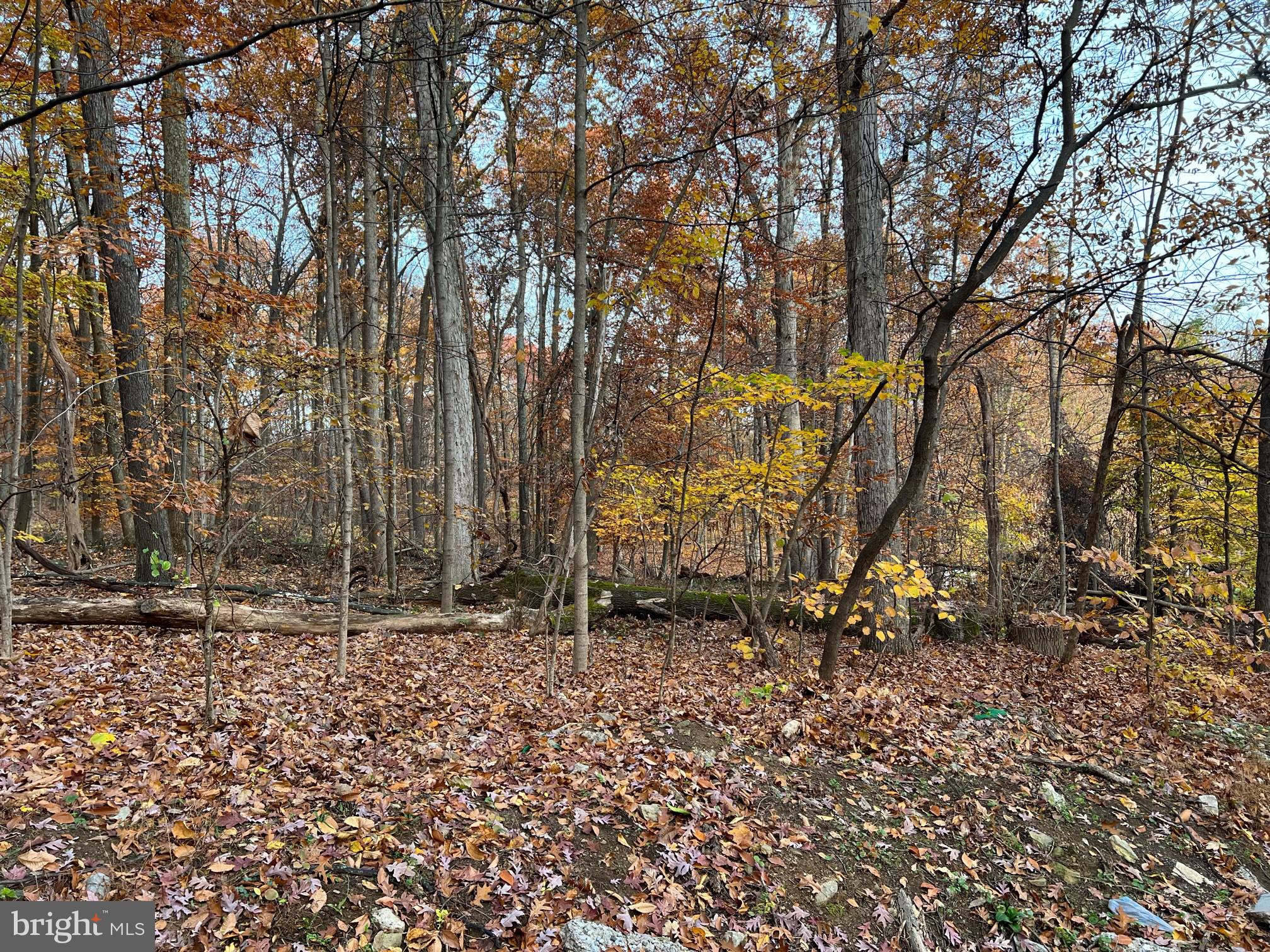 CARROLL VALLEY- RANCH SECTION - Land