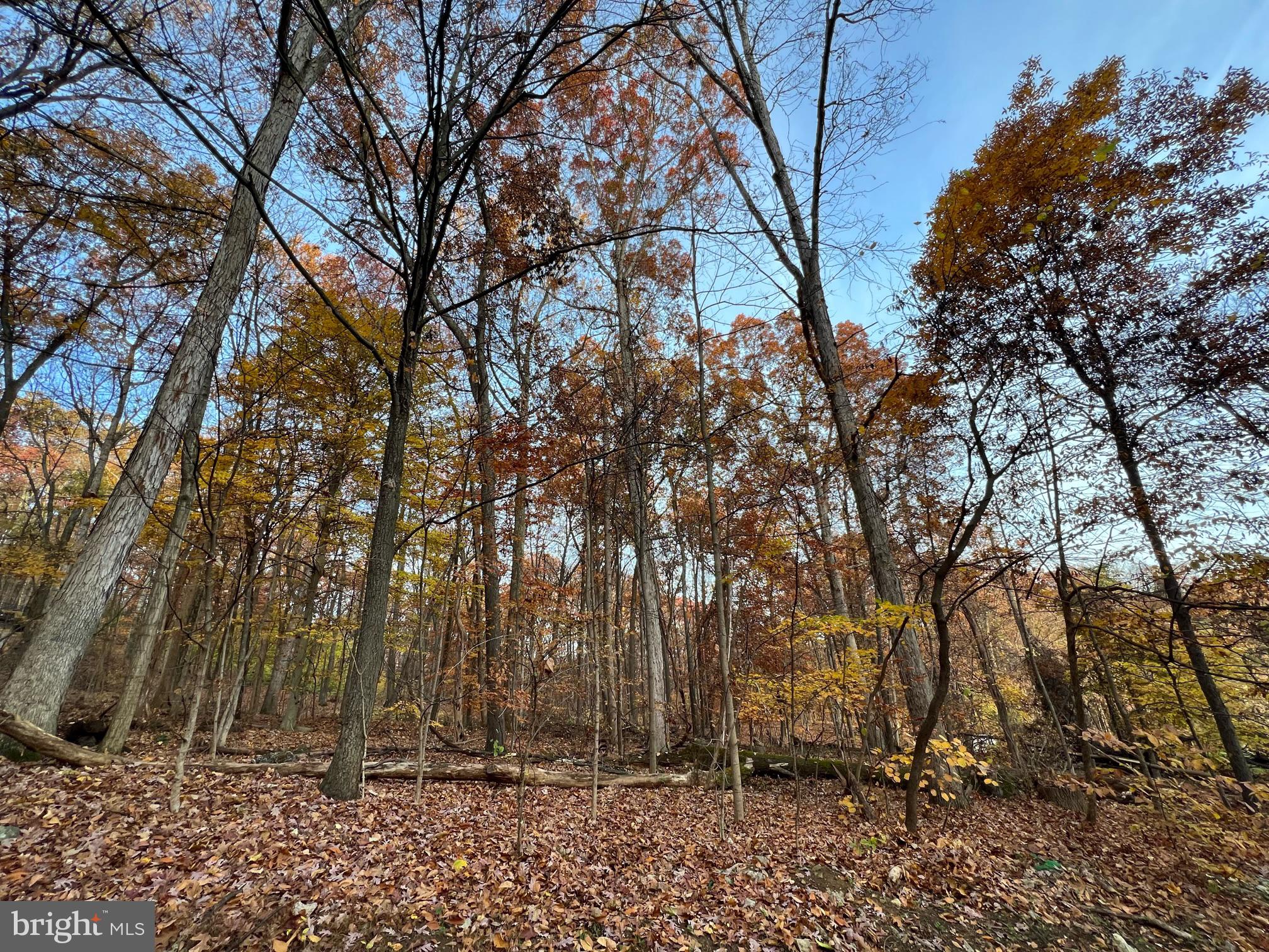 CARROLL VALLEY- RANCH SECTION - Land