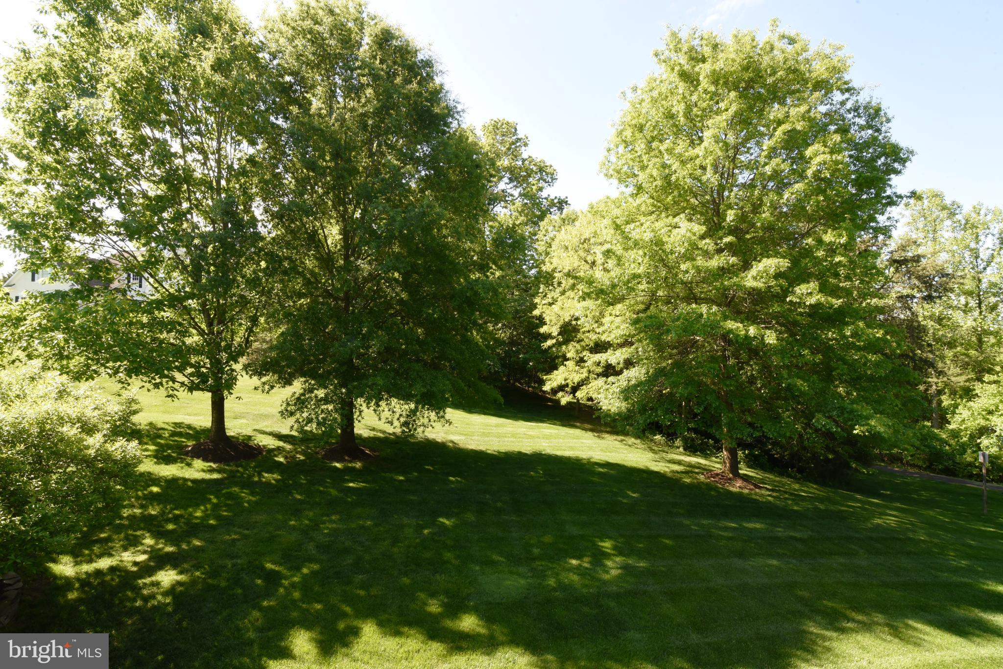 TIMBERLAKE ESTATES - Residential