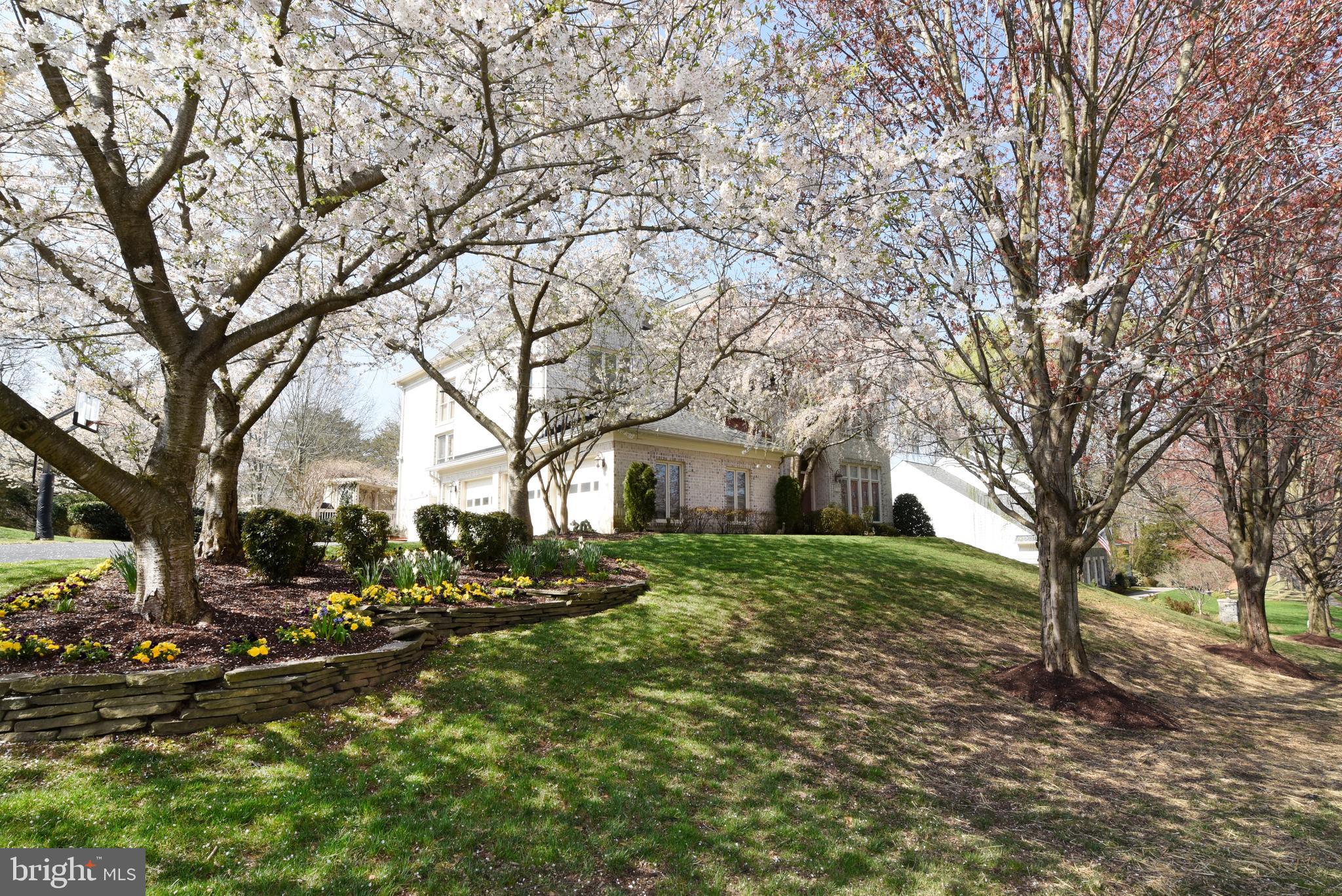 TIMBERLAKE ESTATES - Residential