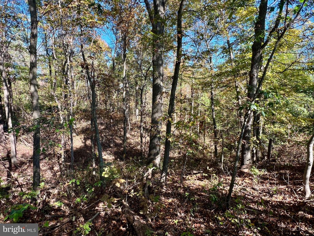 Photo of Lot 1 Anderson Road, SCHELLSBURG, PA 15559 (MLS # PABD2002834)