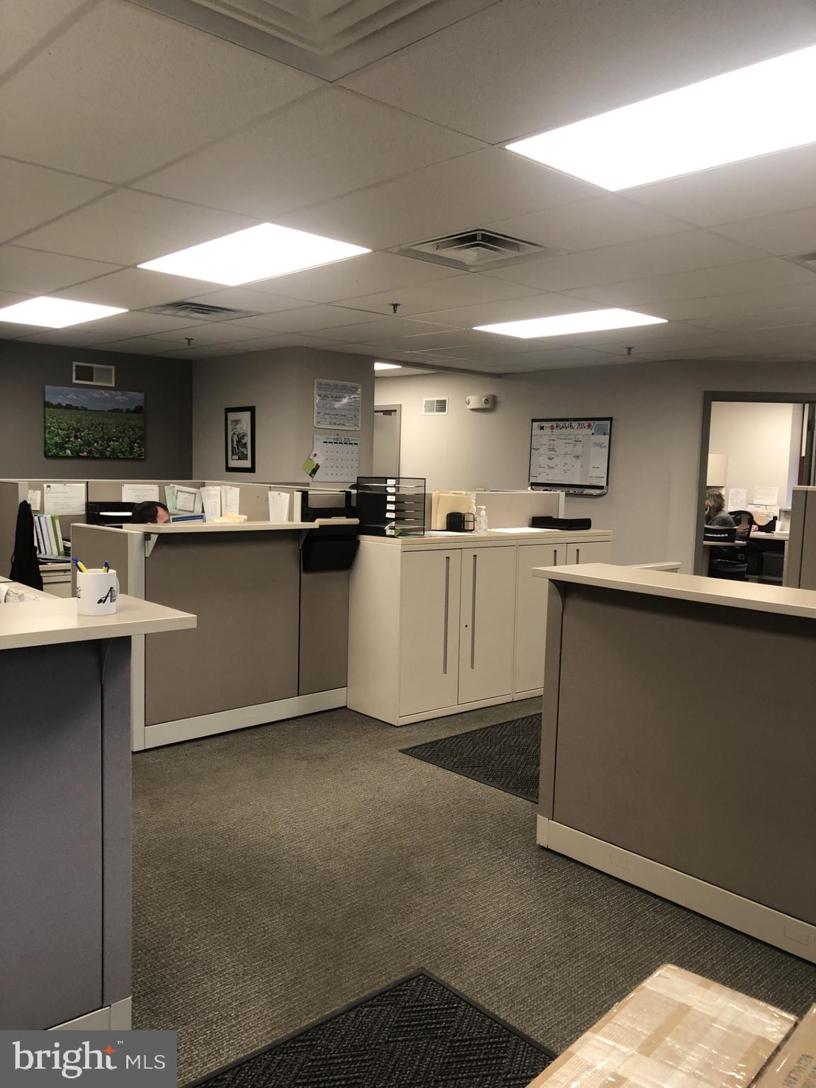 1828 FREEDOM ROAD 101