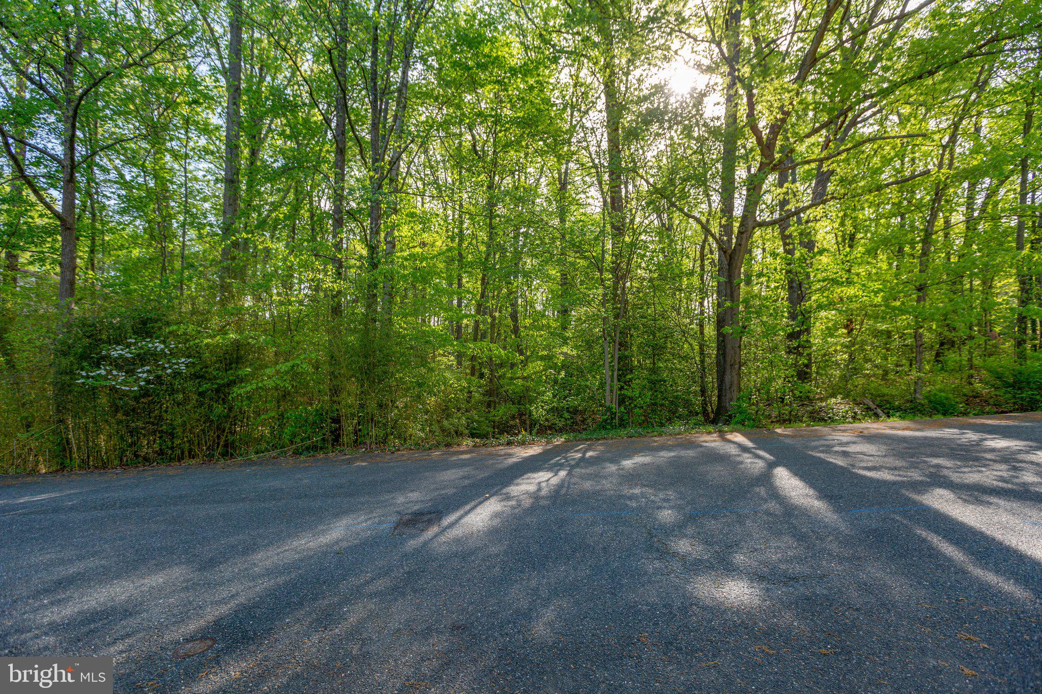 104 GOODLOE DRIVE