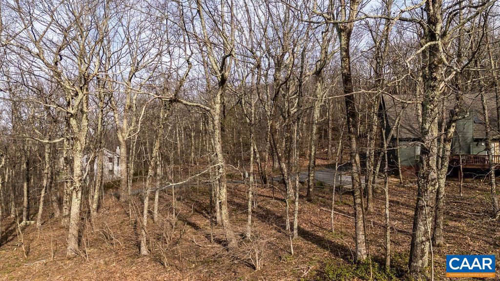 WINTERGREEN RESORT - Land