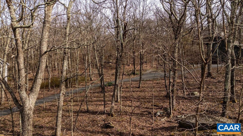 WINTERGREEN RESORT - Land