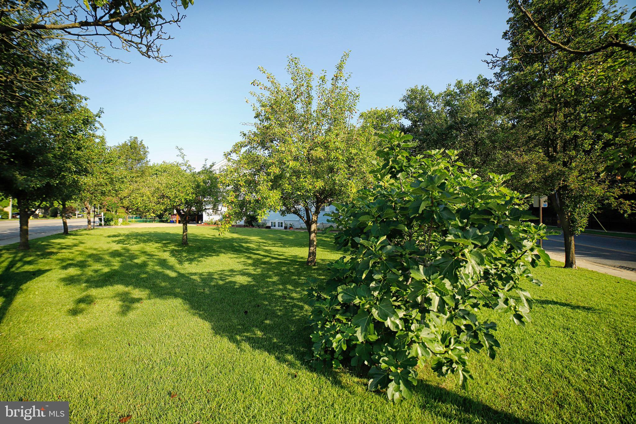 PRIMROSE ACRES - Residential