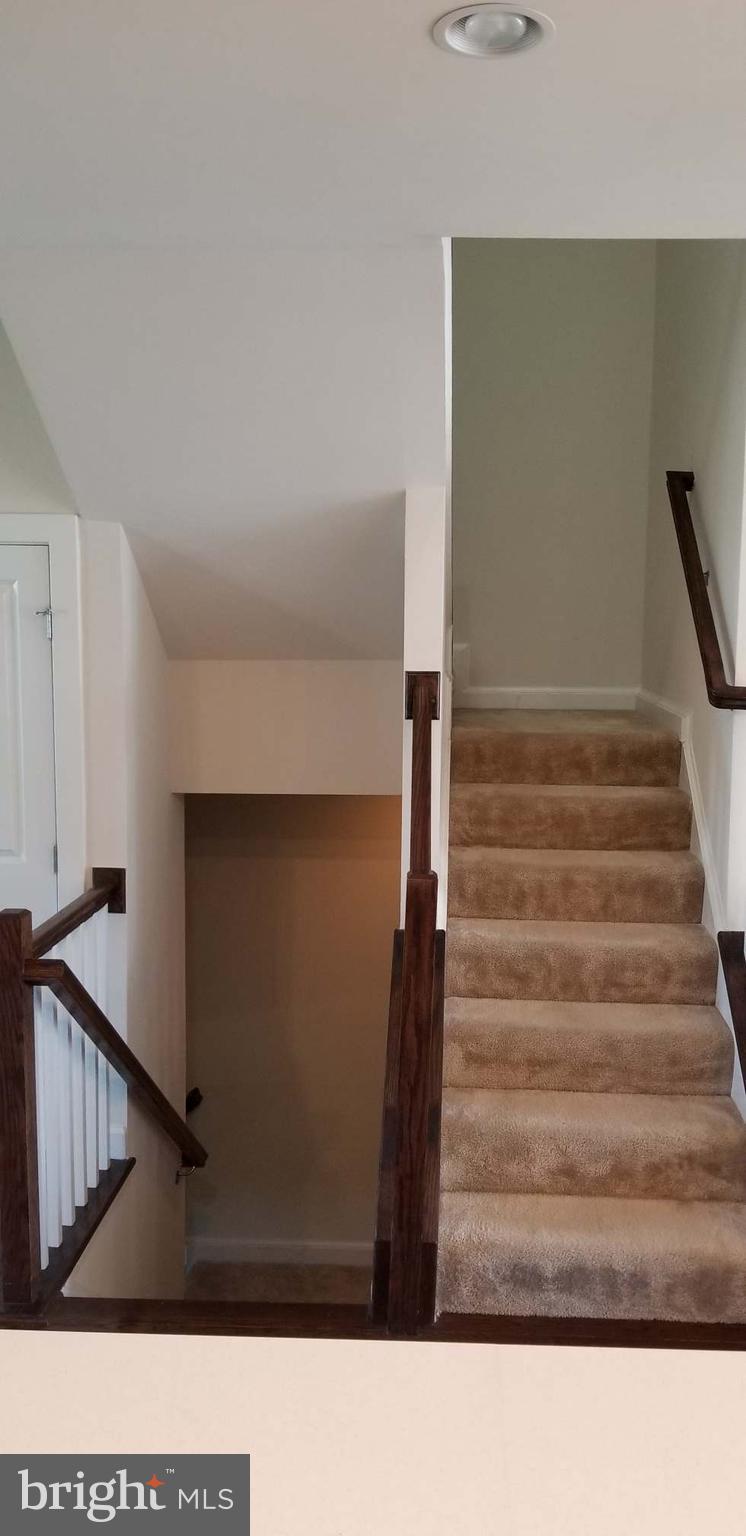 ARCOLA - Residential Lease