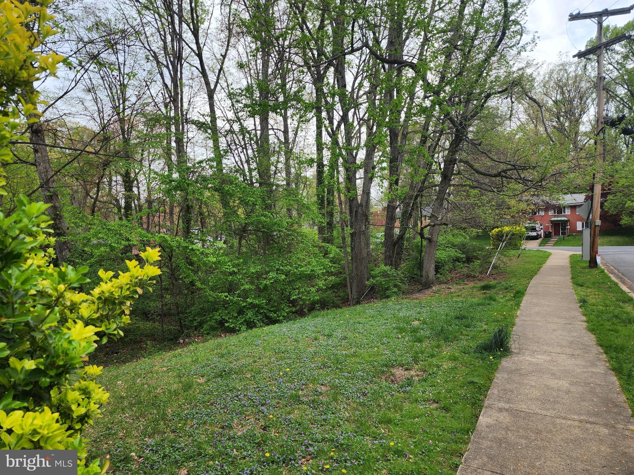 7669 LONG PINE DRIVE