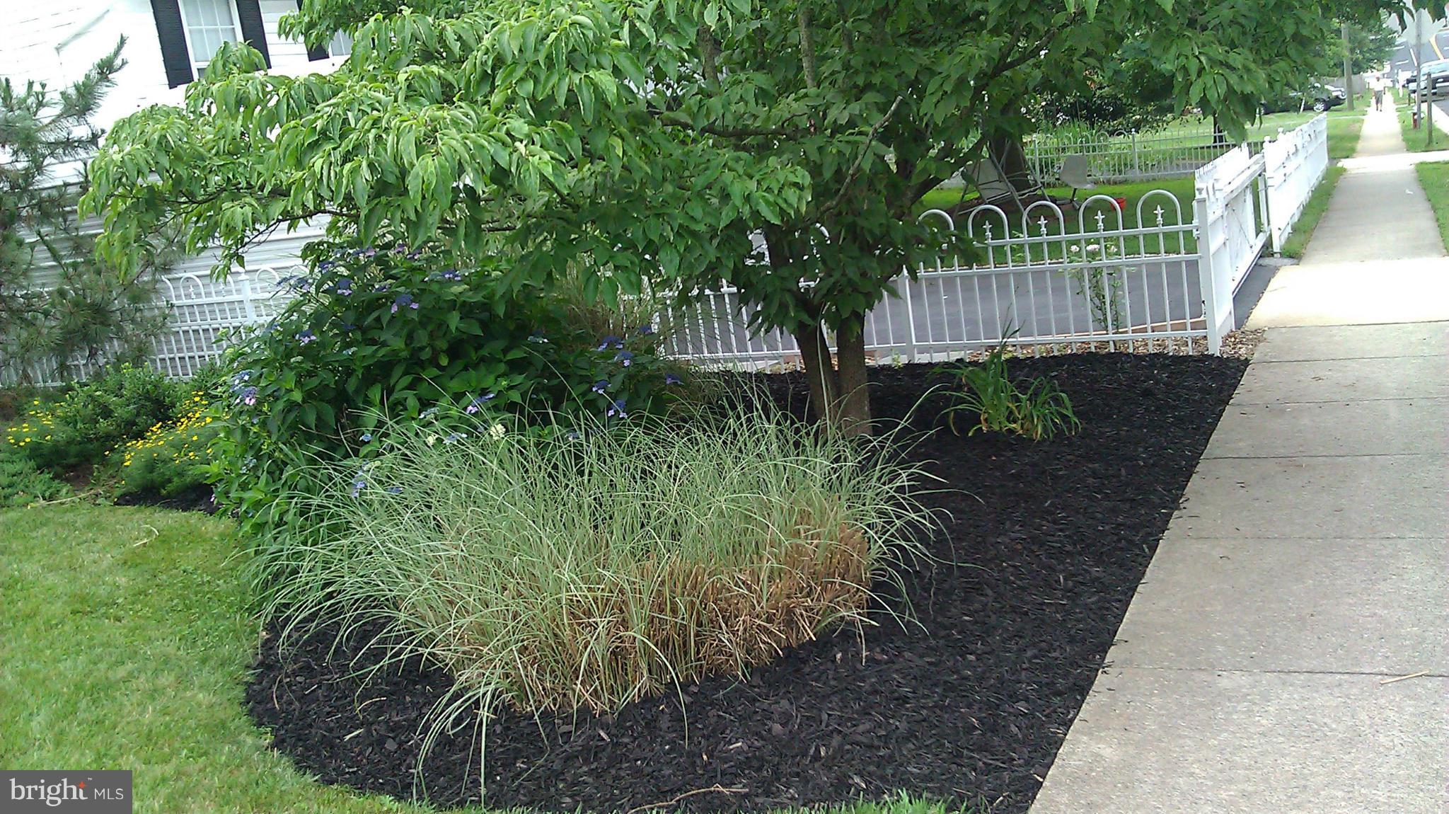 BARROS CIRCLE - Residential