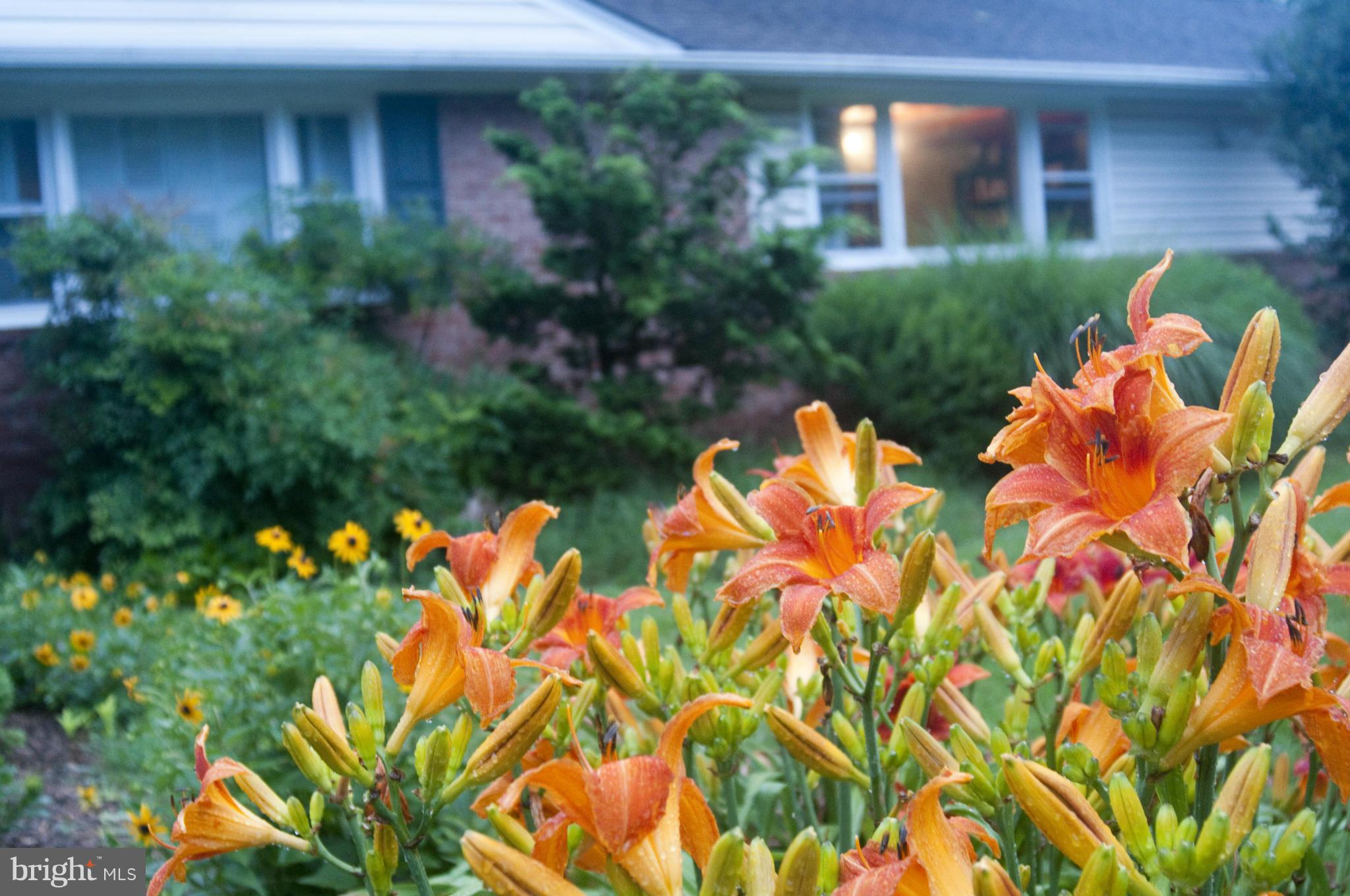 BARROS CIRCLE - Residential